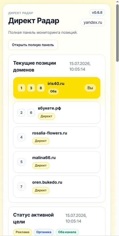 Панель расширения Директ Радар с текущими позициями доменов